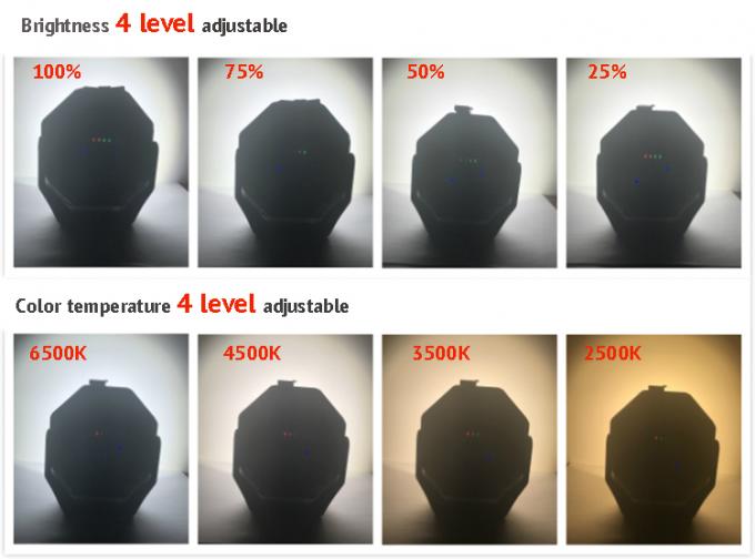 2 In 1 High Power CRI 95 LED Car Detailing Light Untuk Pencocokan Warna Dengan UV Curing Light 3